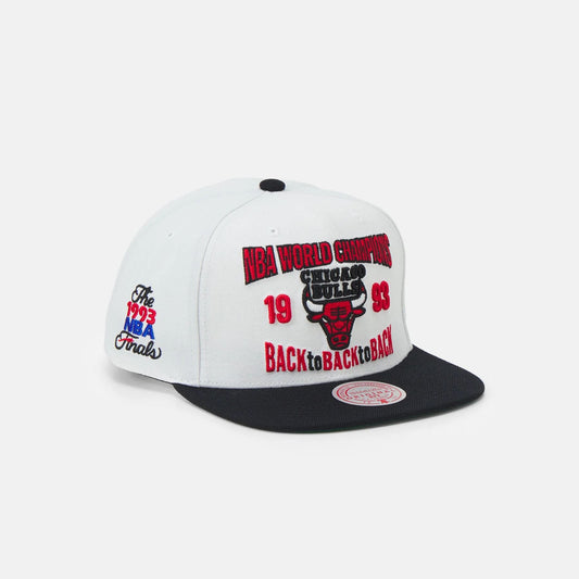 NBA Chicago Bulls Back to 93 Snapback - Mitchell & Ness