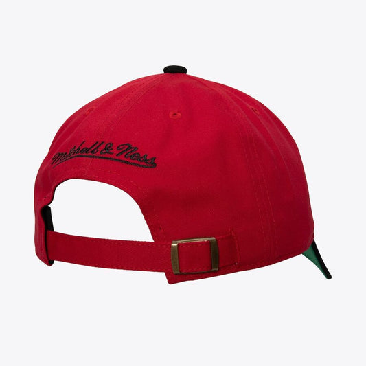 NBA Team Tone Dad Strapback - Mitchell & Ness