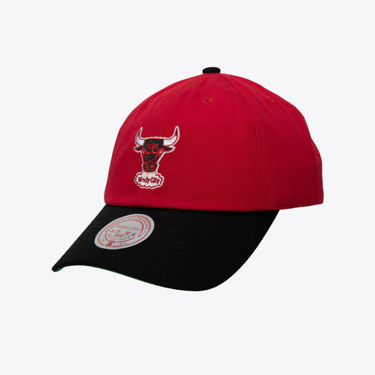 NBA Team Tone Dad Strapback - Mitchell & Ness