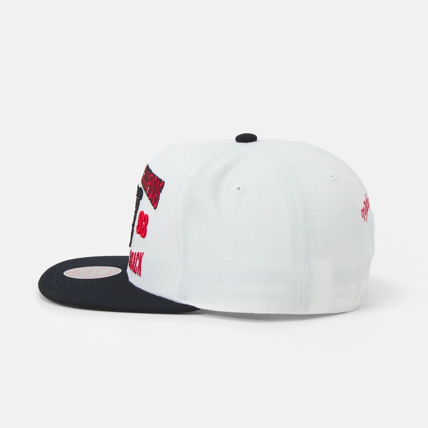 NBA Chicago Bulls Back to 93 Snapback - Mitchell & Ness